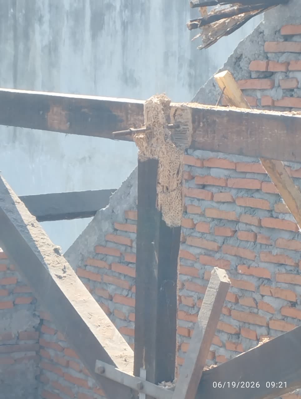 Sambungan kayu keras yang termakan rayap