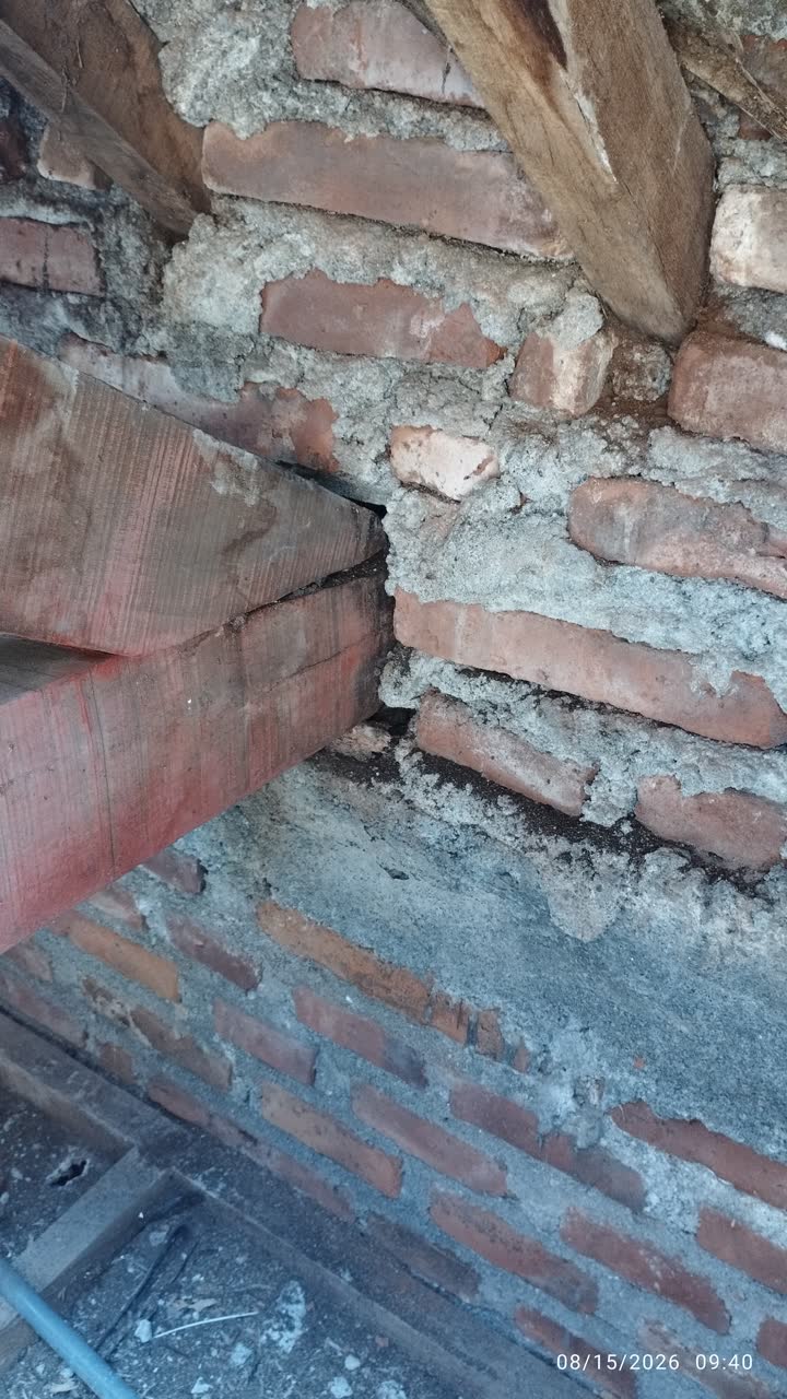 Ujung kayu keras yang termakan rayap di tumpuan dinding